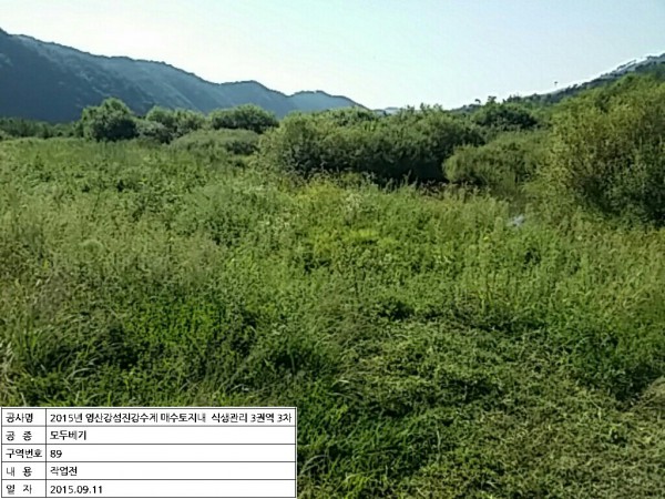 0384a6cc8bfe296005b10a515f91298a_1546761317_2446.jpeg
