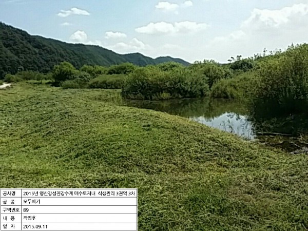 0384a6cc8bfe296005b10a515f91298a_1546761456_3225.jpeg