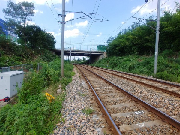 d43d2994627c77f450e1788967ae35f7_1600678500_1724.jpg