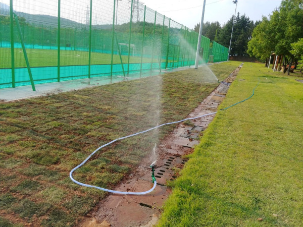 5c1ed35d762b783fb17091dbdf9ad809_1562047757_335.jpg